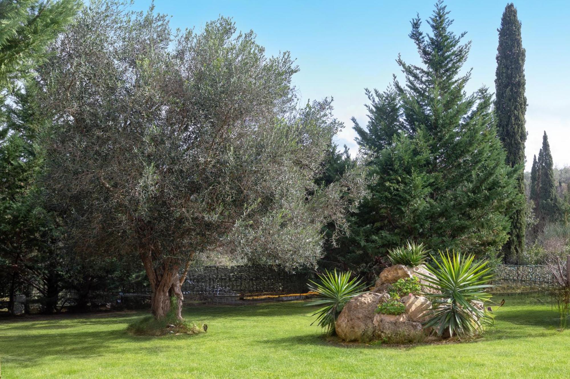 Eleonas Luxury Homes Gardeládes Dış mekan fotoğraf